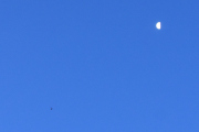 Lørdags morgen, klokken er 05.39 og jeg ser et fly passerer månen