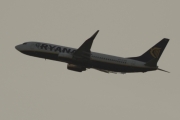 Knut 15 juni 2018 - Fly, som er en Ryanair tror jeg