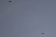 Morten 14 august 2018 - Kl. 19.48 SAS over Høyenhall, en fugl oppe til venstre sammen med flyet