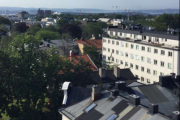 Jeg er på jobb og løper opp på taket og sender en sommerhilsen fra Oslo til dem