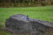 Først så trodde jeg det satt en fugl på stenen men det viste seg og være en drikkeflaske. Tro om den står der når vi kommer tilbake