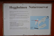 Gressholmen - Heggholmen Naturreservat, her må det da være Kaniner