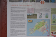 Lindøya - Selvfølgelig da i en annen setting, da blir det fugler og planteliv
