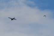 Morten 11 oktober 2020 - Et fly og en fugl over Høyenhall, men hva gjør det - jeg tar den sammen med en fugl