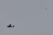 Morten 16 mai 2020 - Småfly over Våler, det er LN-BIH som er et Cessna 172B