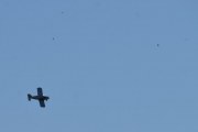 Morten 19 april 2020 - Morsomt fly over Høyenhall, ikke fordi jeg tar bilde av et fly med masse fugler rundt
