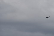 Morten 26 april 2020 - Småfly over Høyenhall, men vi fikk den sammen med en stor fugl