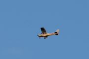 Morten 9 juli 2020 - LN-NRO over Høyenhall i kveldsolen. Det er Cessna 172S Skyhawk som er fra Nedre Romerike Flyklubb
