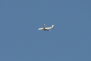 Morten 3 september 2020 - To fly som passerer hverandre, her er det ene som jeg tror er KLM