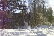 Knut 28 desember 2018 - Med nytt viltkamera kan vi nå se at et Ekorn er på ferde