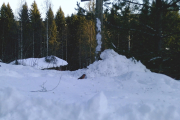Knut 9 januar 2019 - Absolutt en aktiv dag i Maridalen