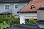 26 juni 2016 - masse lek og morro