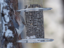 Knut og Morten - fugler, dyr og insekter 2018 første halvår