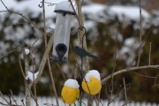 Morten 25 februar 2018 - Høyenhall-tur, vil dere være med og se hva som skjer? Skulle egentlig på tur til botanisk hage