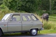 Maridalstur - Renault og en hest