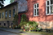 Torsdag Blomster i Fredrikstad