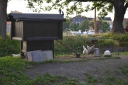 Torsdag Hønsehus