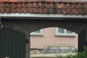Torsdag Måke i Ølgaarden
