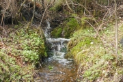 Turen til bilkirkegården (89)_01