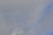 Vårslepp av ballonger på Tusenfryd kl.10.05