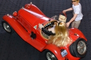 Alfa Romeo med personer