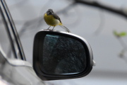 Og jeg er glad denne bilen ikke er min, det må da bli litt riper av dette?