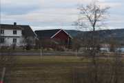 Nå nærmer vi oss Skjerven gård hvor det alltid er mange hester