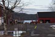 Her ser vi også noen hester når vi passerer Skjerven gård
