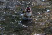 Så dette er nok godt og avkjølende