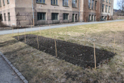 Rett innenfor porten ser vi et blomsterbed som er gjort klart til våren
