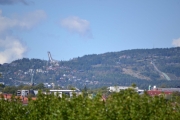 Så til utsiktsposten, ingen fugler der men vi ser Holmenkollen