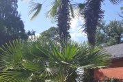 Nesten som å være på Gran Canaria, ikke sant?