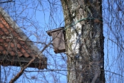 Ny fuglekasse observert