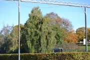 Oversiktsbilde, vi nærmer oss Botanisk hage