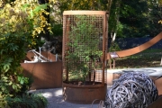 Hasj planten, bura godt inn
