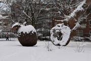 Eplene står ute, sommer som vinter