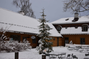 Hva er julen uten juletre? Botanisk hage har også et