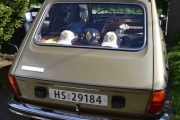 Pynta bak i hattehylla