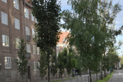 Kirkeveien 93 er den første bygningen som er en del av Jessenløkken Boligselskap, er fra 1919–1922. Bygningen nedenfor er Kirkeveien 87-81 som også tilhører Jessenløkken Boligselskap og er fra samme tidsalder, og 81 har fasade mot Suhms gate også