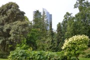 Botanisk hage. Selv om vi er midt inne i parken så ser vi Radisson Blu Plaza Hotel med sine 37 etasjer i det fjerne
