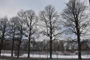 Frogner tennis