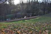 Frognerparken