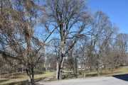 Slottsparken