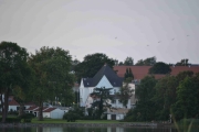 Mandag - store hus og ytrende fugleliv