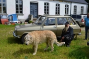 Tirsdag - må bare ha et bilde av ulvehunden og bilen