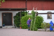 Onsdag - nei, der står country stjerna og gjør seg til