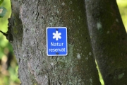 Torsdag morgen - hva sa jeg? Treet er et Natur reservat