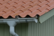 Fredag - og vi har to spurver som bor i taket vårt på hytta