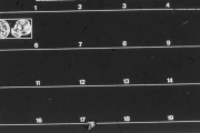 L 60 Pærer Horn