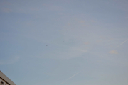 Siste rest med jetflyet og to fugler høyt der oppe hvor mitt kamera ikke rekker
